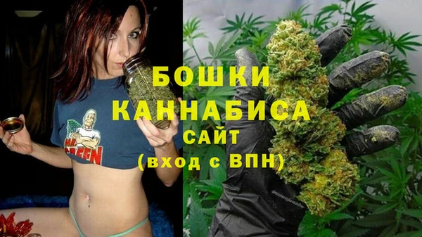 PSILOCYBIN Баксан