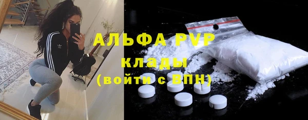 PSILOCYBIN Баксан