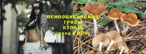 дмт Балахна