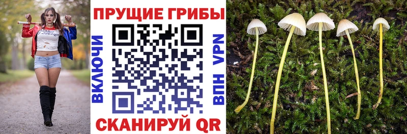 мориарти формула  Иркутск  Псилоцибиновые грибы Psilocybe 